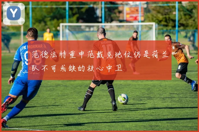 范德法特重申范戴克地位仍是荷兰队不可或缺的核心中卫